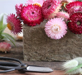 Agra-Wool