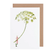 White card with watercolor painting of a small woman holding an oversized ammi flower.