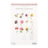 Back of a top flip calendar with previews of each month's picture. Each month is a different watercolor painting of a person holding an oversized flower. The text above the previews reads:
"Laura Stoddart
Birthday Calendar
England".