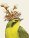 Painting of a warbler with a pussywillow hat, on a light cream background.