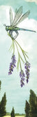 A botanical-style illustration showing a green dragonfly carrying a bundle of lavender, set against a pale sky and dark tree silhouettes along the bottom.