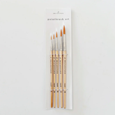 Set of paintbrushes in a clear packaging on a white background.