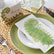A guest napkin with a large fern illustration, sitting on a place setting made of one white plate, one green plate, and a paper placemat with a woven pattern on it. 