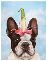 A frech bulldog with a flower hat on, in front of a blue sky and cloud background.