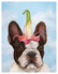 A frech bulldog with a flower hat on, in front of a blue sky and cloud background.