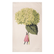Beige tea towel with an illustration of a woman in a pink skirt holding an oversized green hydrangea. 