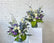 Sympathy Designer's Choice