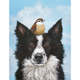 A border collie with a sparrow top its head, against a blue sky with clouds in the background.