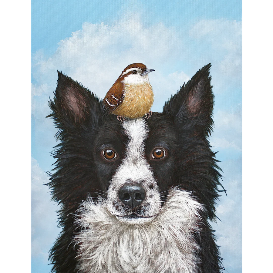 A border collie with a sparrow top its head, against a blue sky with clouds in the background.