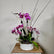 An orchid planter made of purple and white orchids sits in a white ceramic planter, on a wooden table. 