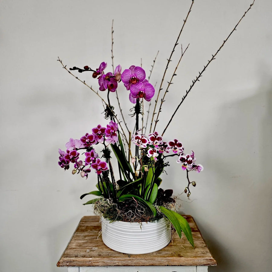 An orchid planter made of purple and white orchids sits in a white ceramic planter, on a wooden table. 