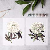 Two paintings displayed side by side on a light gray surface, with paintbrushes and small paint tubes nearby. Both paintings show one white peony with leaves, on a white background.