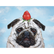 A painting of a grey pug with a strawberry atop its head, in front of a blue sky with clouds.