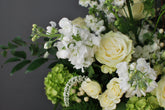 A close up photo of a green and white floral arrangement, featuring white stock and veronica, cream roses and hypericum, and green hydrangea, against a dark grey background. 