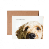 White greeting card with a dog's face 3/4 in frame, with the words "Thinking of you".