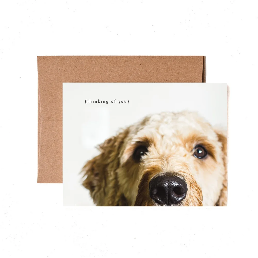 White greeting card with a dog's face 3/4 in frame, with the words "Thinking of you".