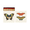 An open matchbook with illustrations of different varieties of butterflies and matches with red heads poking out of the top. 