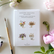 A boxed set of paintable watercolor notecards by Emily Lex Studio, styled in a flat lay with a watercolor brush, flowers, and green leaves on a light surface.
