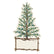 A paper table setting of an illustrative cedar tree.