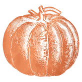 Die-cut placemat of an orange pumpkin in a sketch-style illustration.