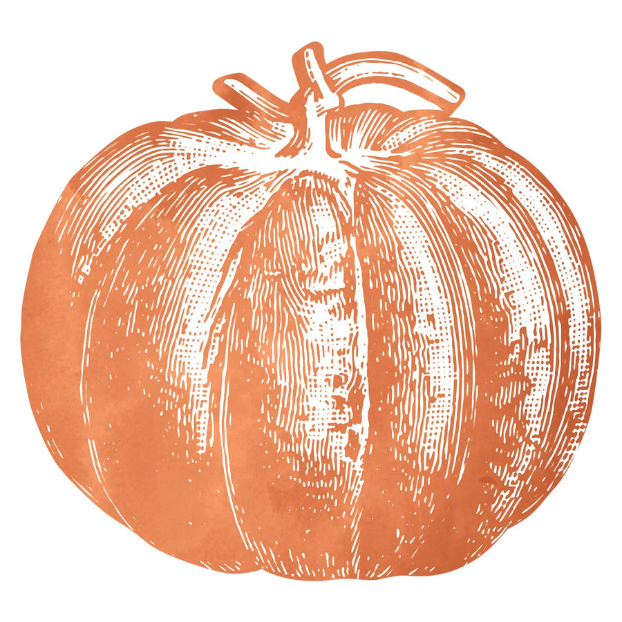 Die-cut placemat of an orange pumpkin in a sketch-style illustration.