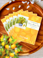 FRESHCUT PAPER | Pop-Up Greeting Card