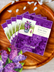 FRESHCUT PAPER | Pop-Up Greeting Card