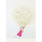 HESTER & COOK | Laura Stoddart Card Sets