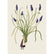 White card with a watercolor painting of a small woman holding an oversized bundle of muscari.