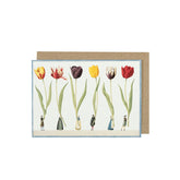 A white card with a watercolor painting of a row of six small women holding oversized tulips above their heads.