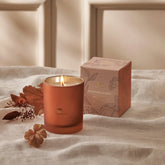 Candle in a matte copper glass with a box on a textured beige surface. Leaves sit next to the product. 
