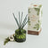 A green glass reed holder with reeds sticking out of it, with the accompanying box posed behind it. A silver Christmas bulb and a sprig of pine sit to the left of the diffuser.