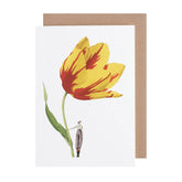 HESTER & COOK | Laura Stoddart Cards